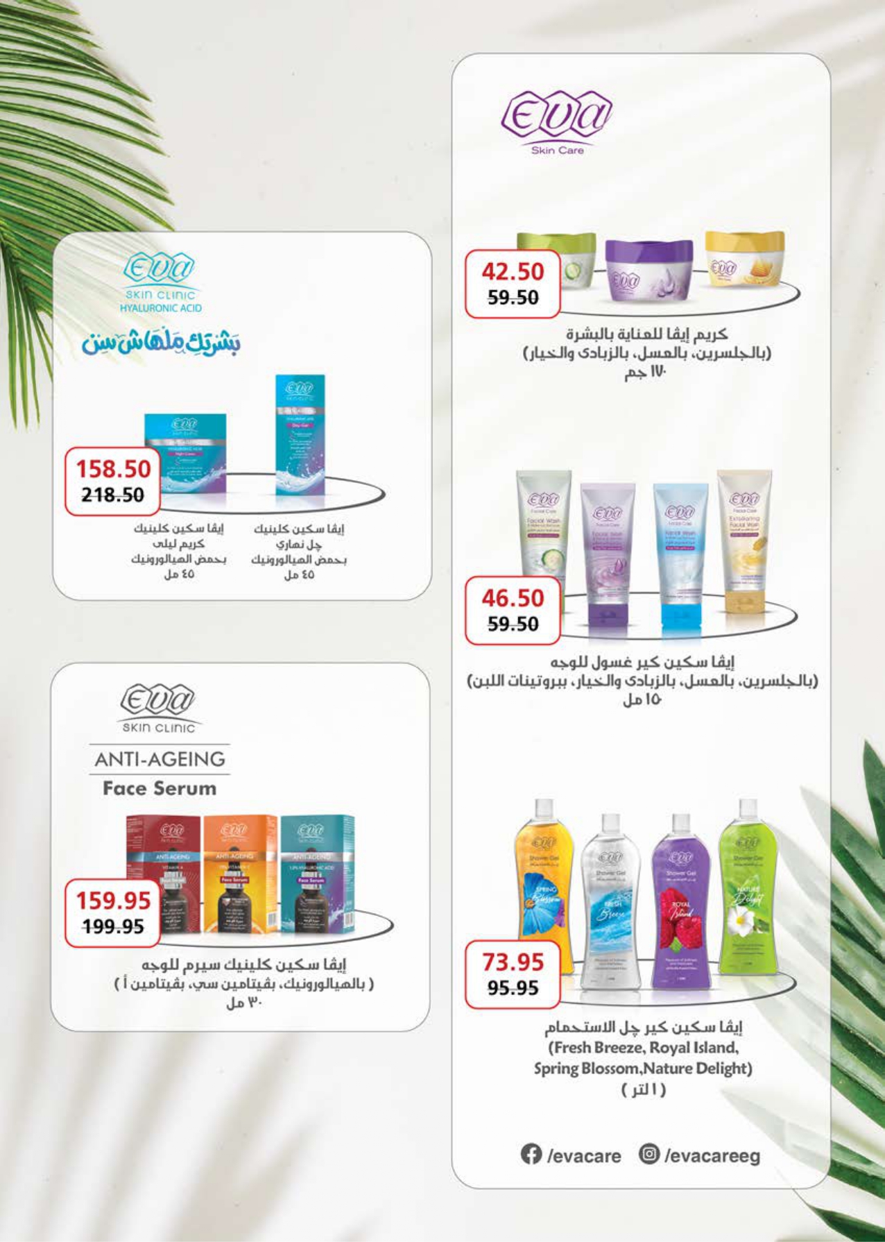 saudi offers from 10dec to 23dec 2024 عروض سعودى من 10 ديسمبر حتى 23 ديسمبر 2024 صفحة رقم 31